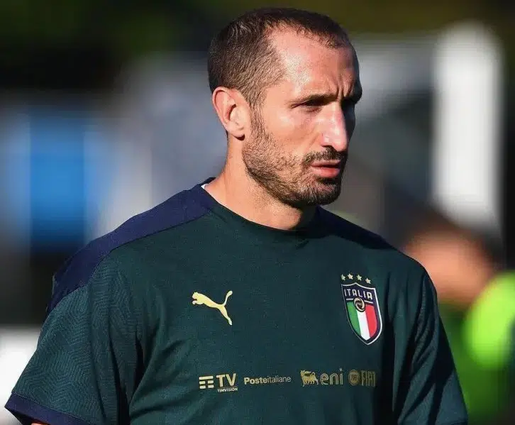 italia argentina finalissima giorgio chiellini