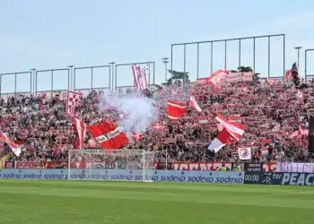 vicenza cosenza play out serie B