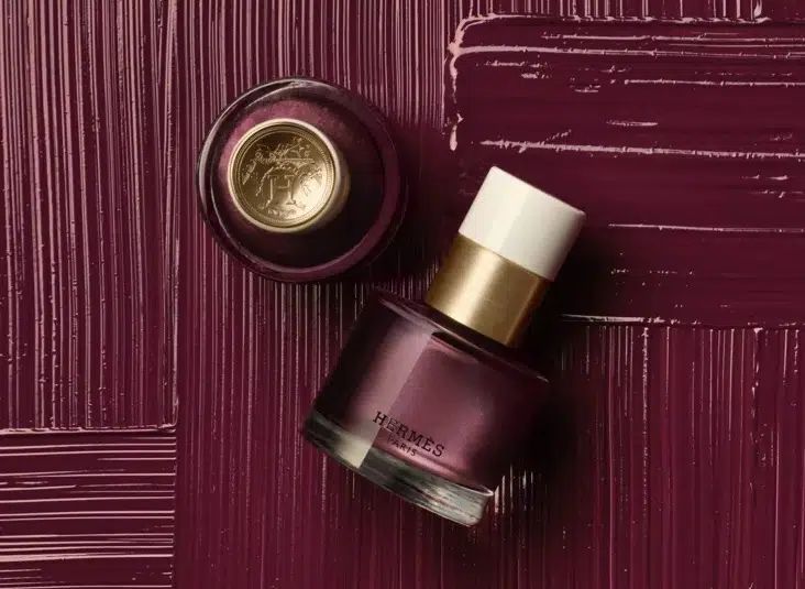 smalti inverno 2022-2023-violet hermes