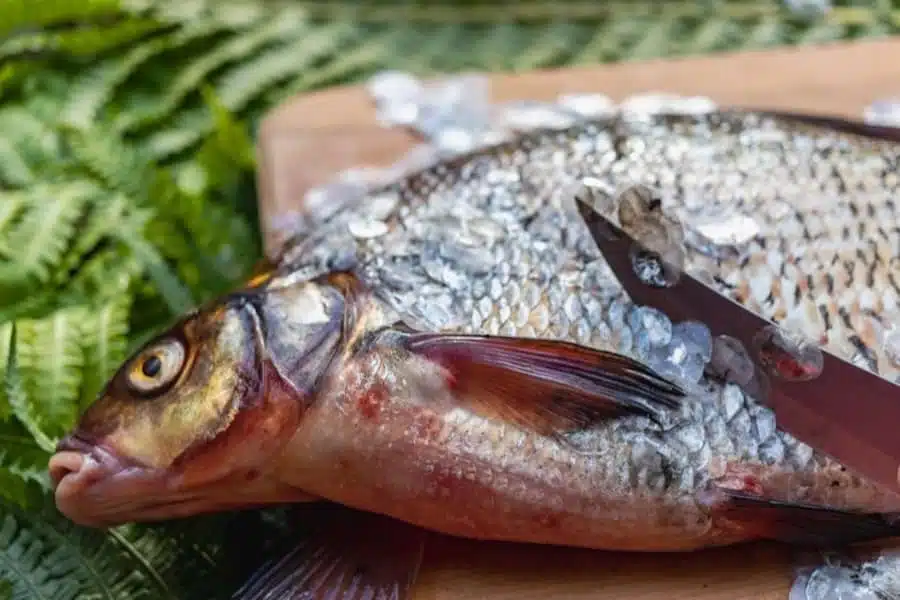 pulire il pesce intero