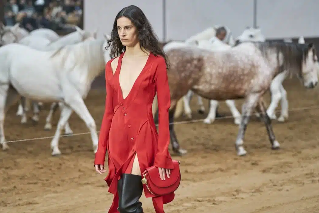 Stella Mccartney vestiti inverno 2023-24