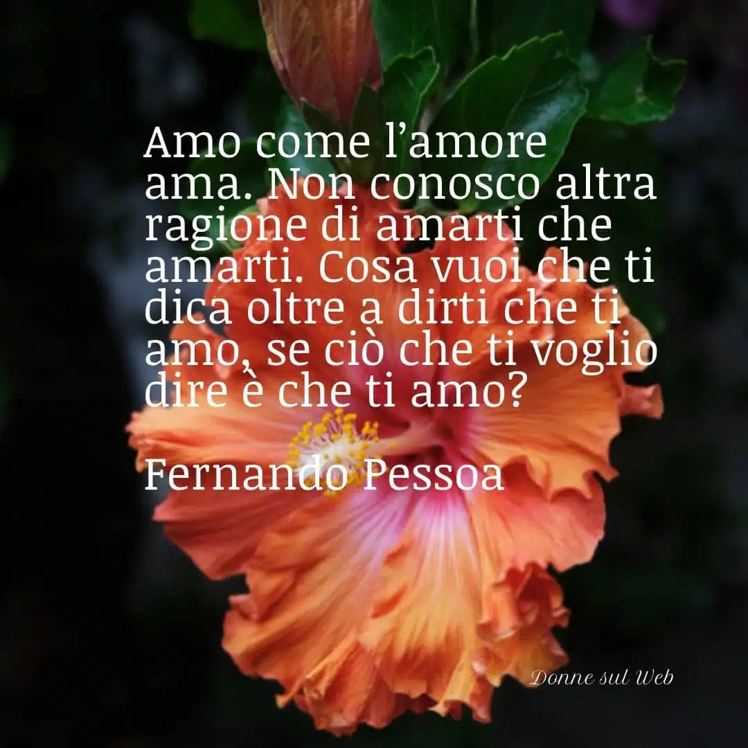 Cos'è l'amore descritto con frasi brevi?