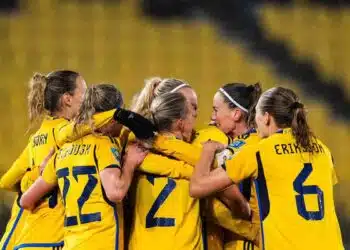 Svezia Sudafrica