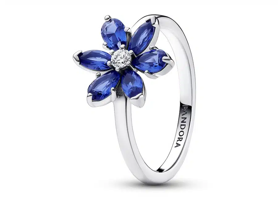 PANDORA-Anello Herbarium 2024