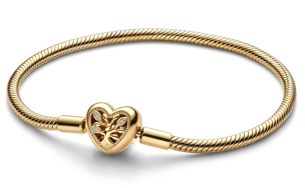 bracciale pandora chiusura cuore 2024