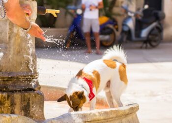 Meteo giugno 2024 in Italia, ondata di caldo