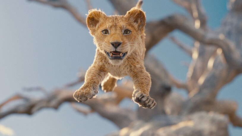 Mufasa il Re Leone - il film 
