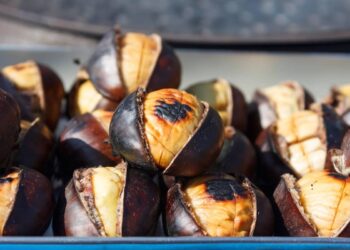 come cuocere le castagne
